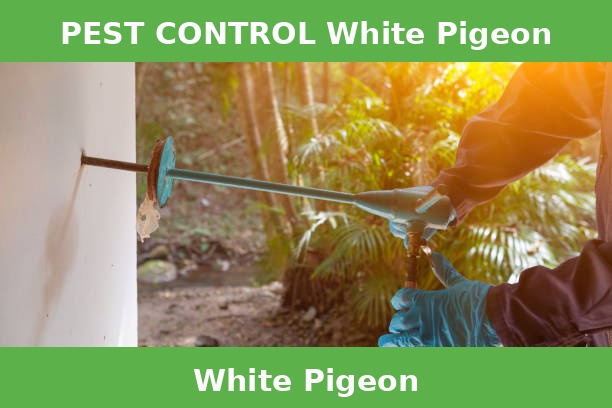 PEST CONTROL White Pigeon